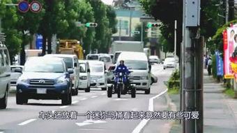 八鹅吃瓜菌不空娱乐